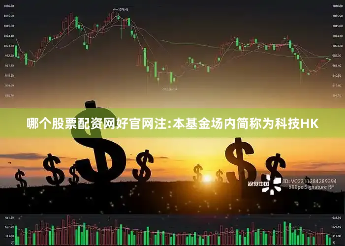 哪个股票配资网好官网注:本基金场内简称为科技HK