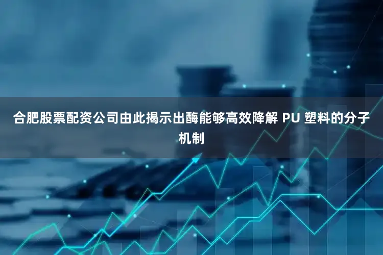 合肥股票配资公司由此揭示出酶能够高效降解 PU 塑料的分子机制