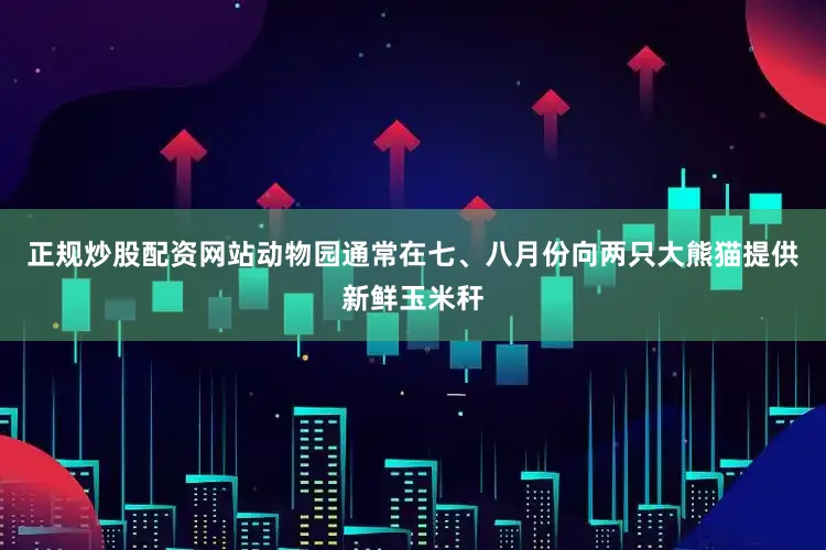 正规炒股配资网站动物园通常在七、八月份向两只大熊猫提供新鲜玉米秆