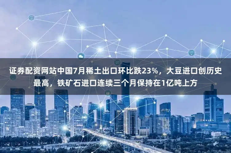 证券配资网站中国7月稀土出口环比跌23%，大豆进口创历史最高，铁矿石进口连续三个月保持在1亿吨上方