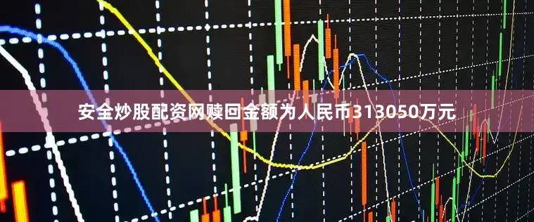 安全炒股配资网赎回金额为人民币313050万元