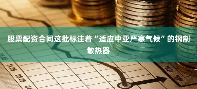 股票配资合同这批标注着“适应中亚严寒气候”的钢制散热器